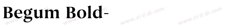 Begum Bold字体转换